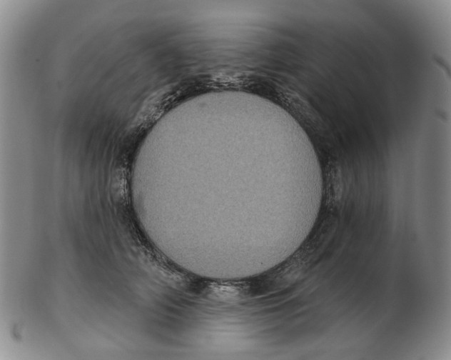 X0000102770706200809081005