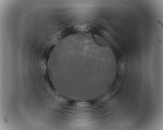 X0000102770707200809081005