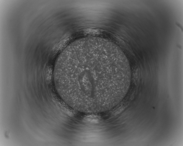 X0000102770708200809081005