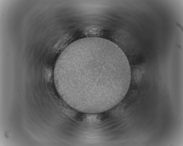 X0000102770709200809081005