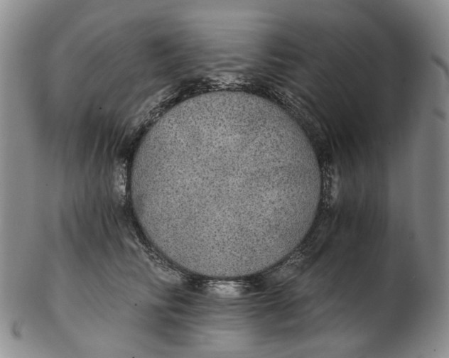 X0000102770710200809081005