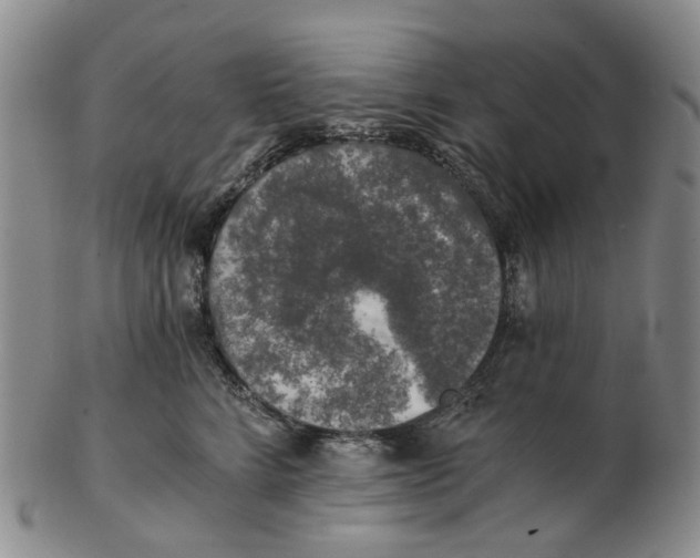 X0000102770712200809081005