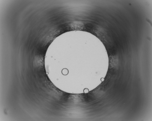 X0000102770713200809081005