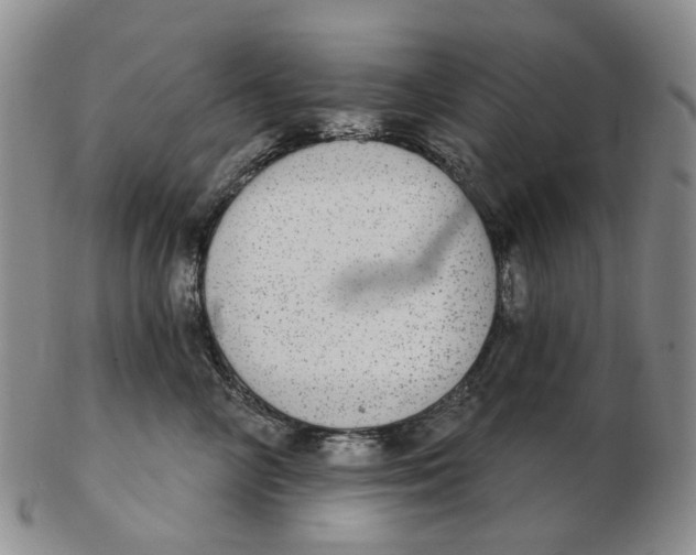 X0000102770714200809081005