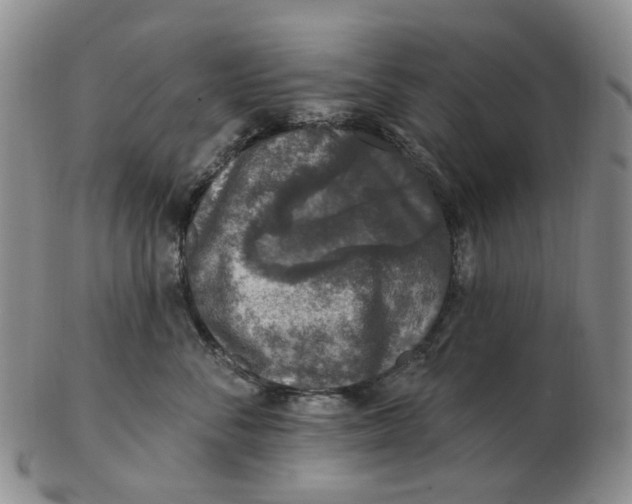 X0000102770716200809081004