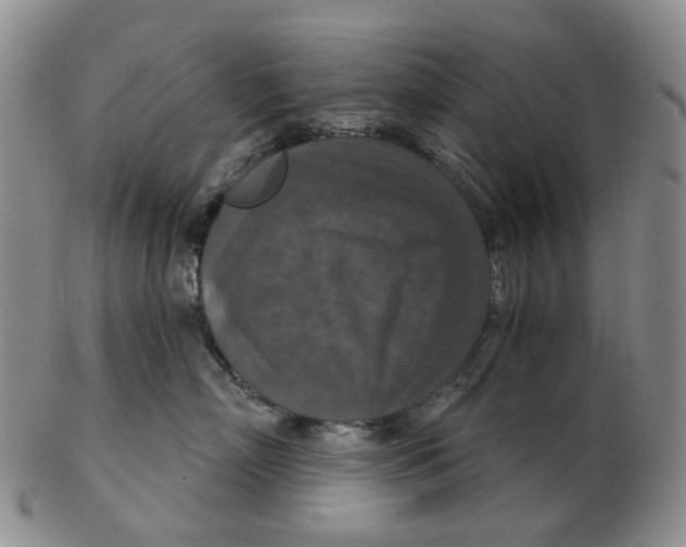 X0000102770718200809081004