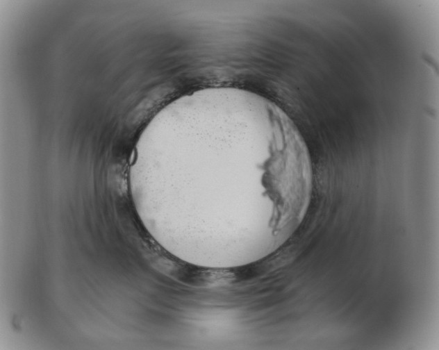 X0000102770719200809081004