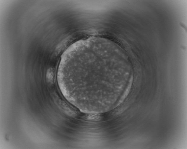 X0000102770720200809081004