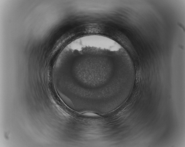 X0000102770722200809081004