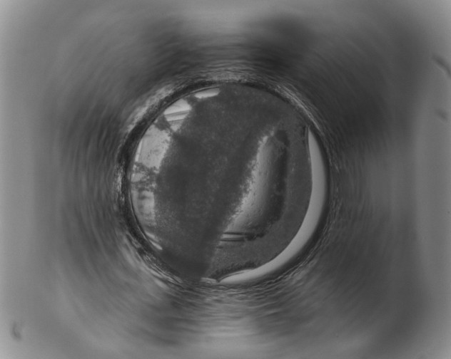 X0000102770723200809081004