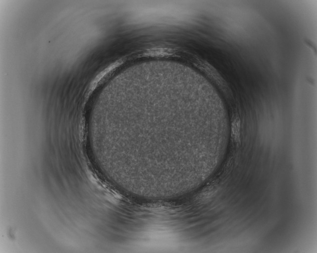 X0000102770724200809081004