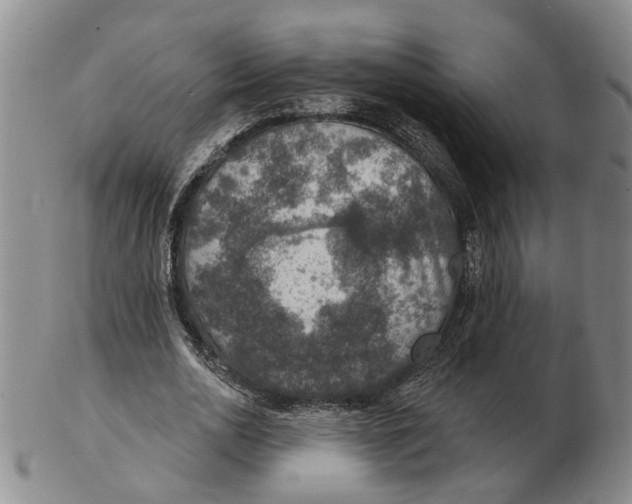 X0000102770726200809081004