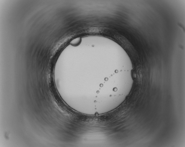 X0000102770728200809081004