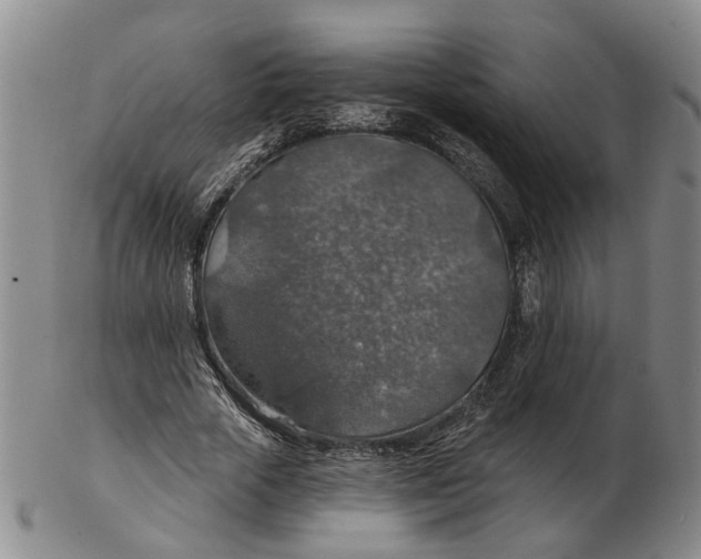 X0000102770729200809081004