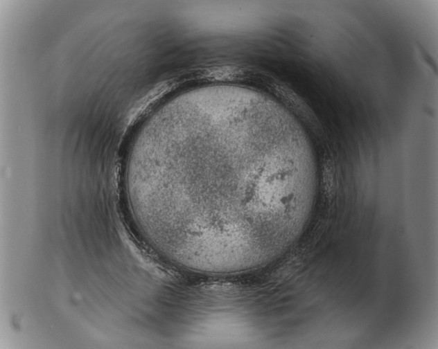 X0000102770730200809081004