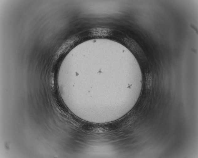 X0000102770731200809081004