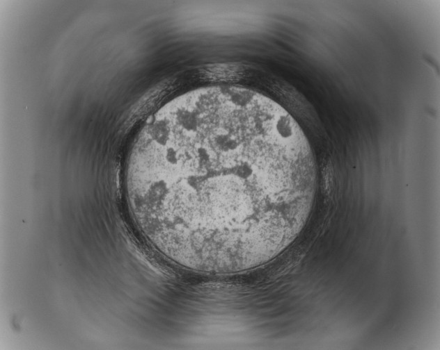 X0000102770733200809081004