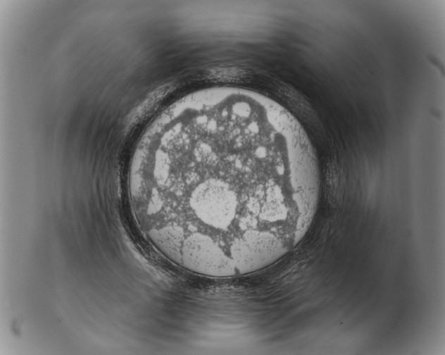 X0000102770734200809081004