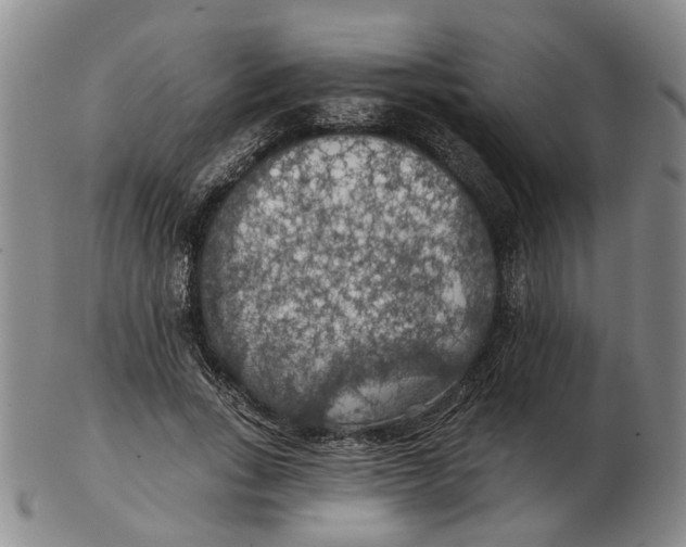 X0000102770735200809081004