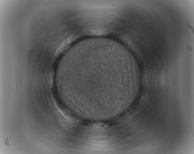 X0000102770736200809081004