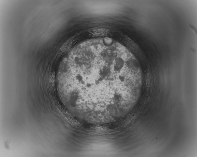 X0000102770737200809081004