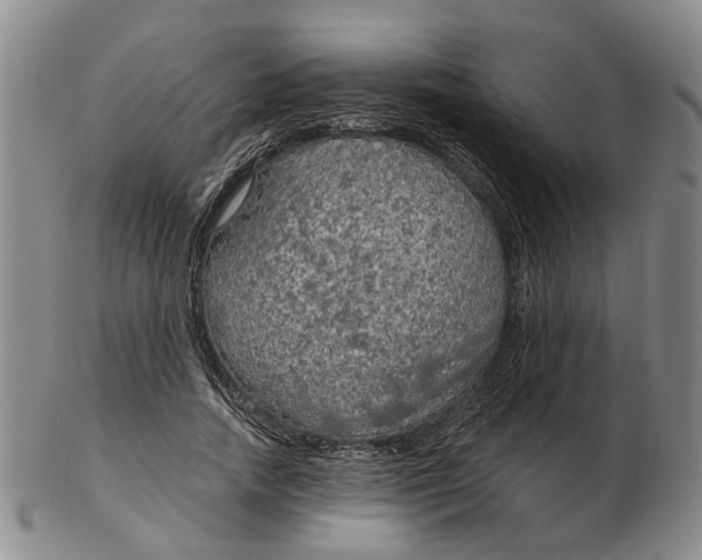 X0000102770738200809081004