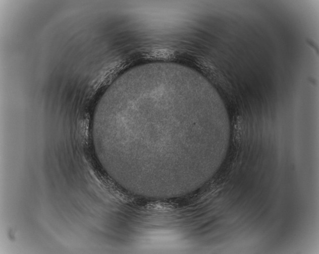 X0000102770739200809081004