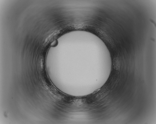 X0000102770740200809081004