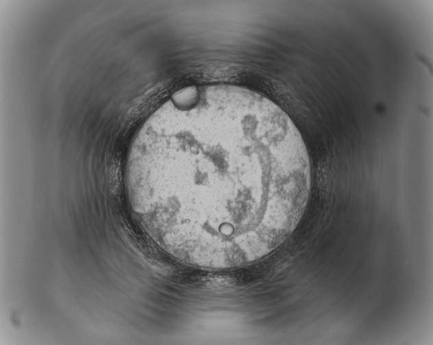 X0000102770741200809081004