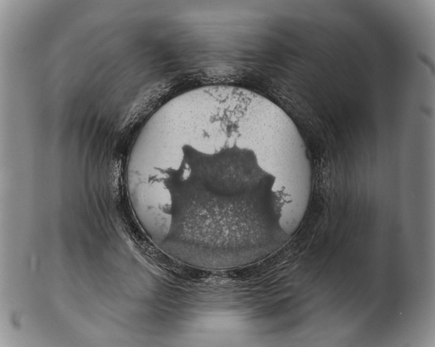 X0000102770742200809081004