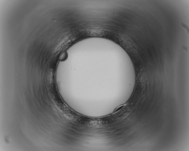 X0000102770744200809081004