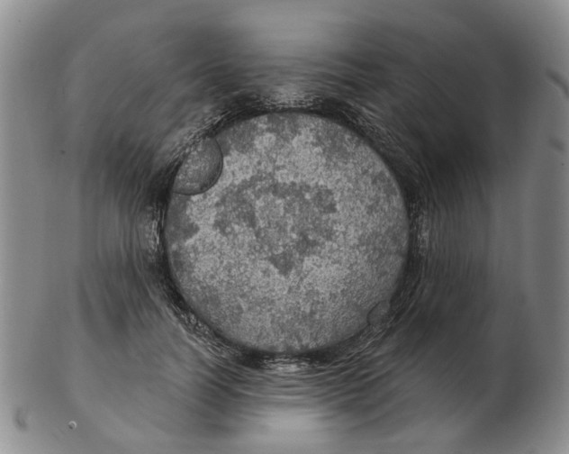 X0000102770746200809081004