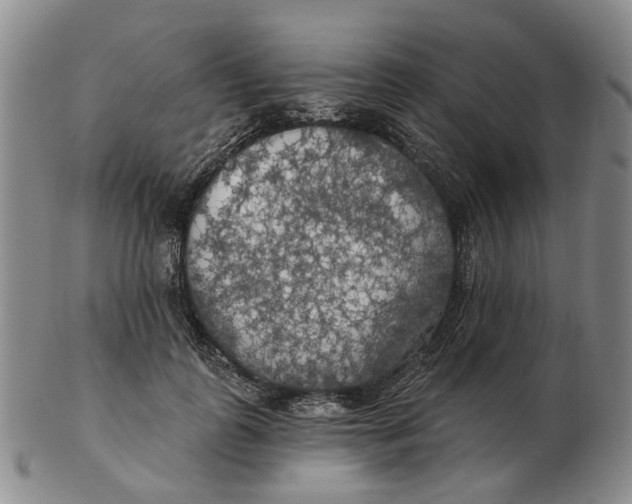 X0000102770747200809081004