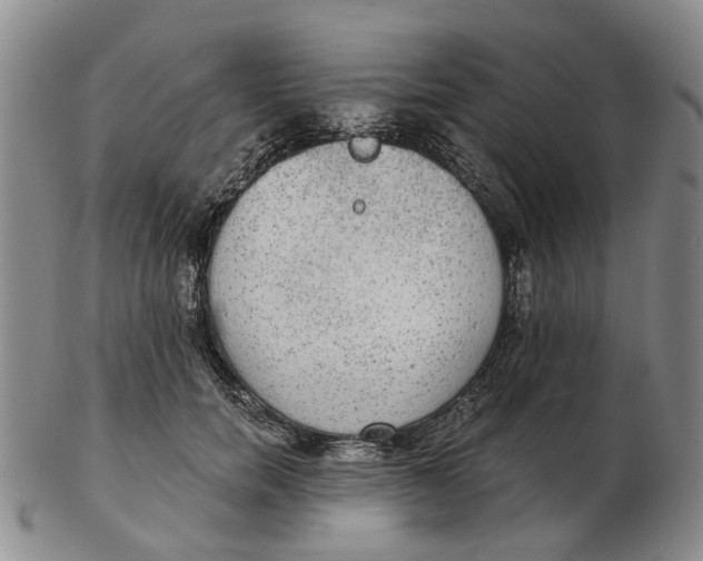 X0000102770750200809081004