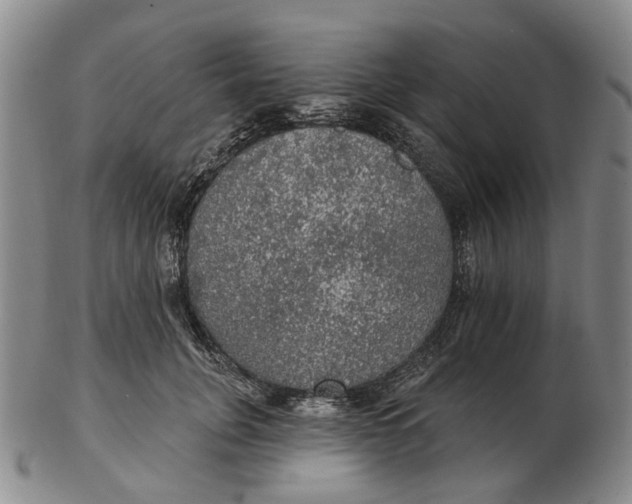 X0000102770751200809081004