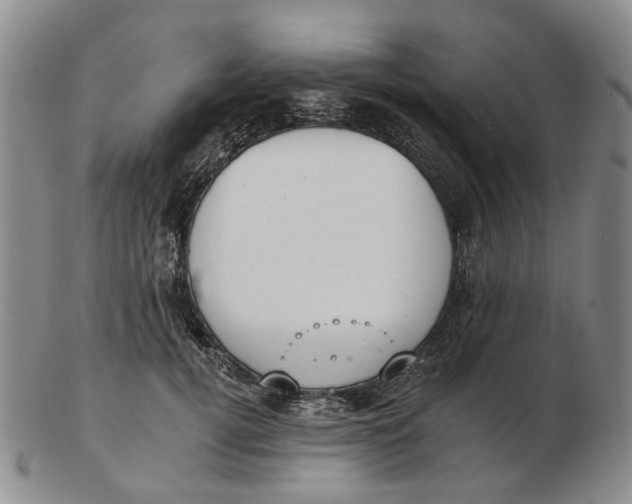 X0000102770752200809081004