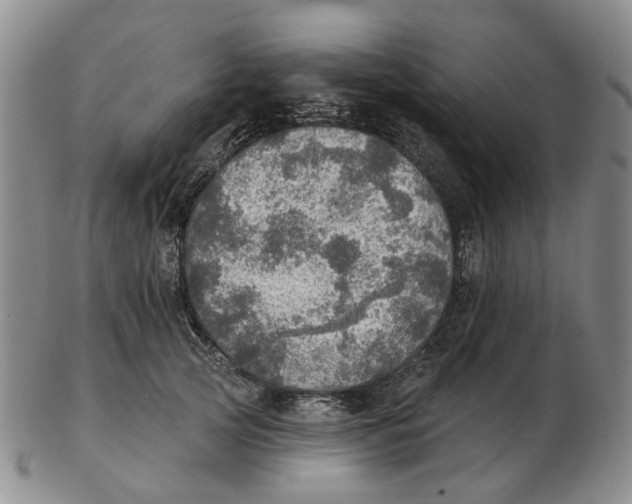 X0000102770753200809081004