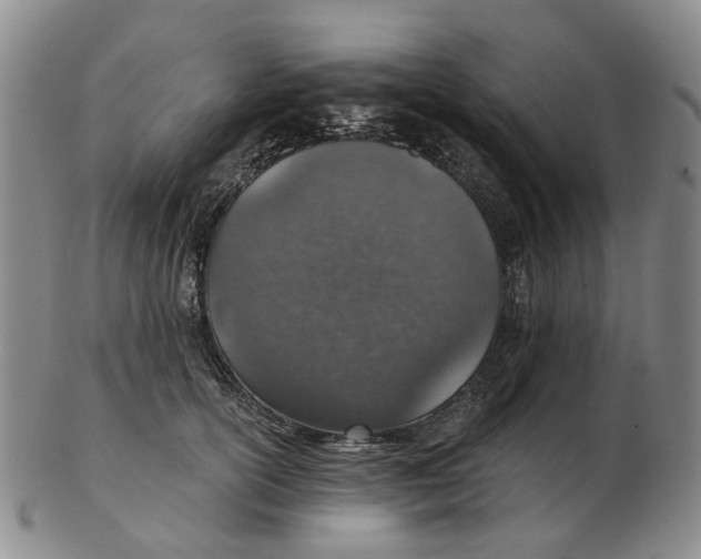 X0000102770754200809081004