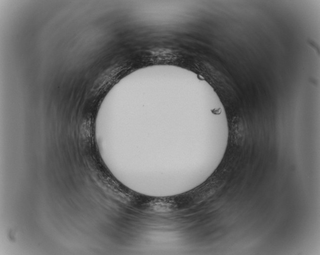 X0000102770756200809081004