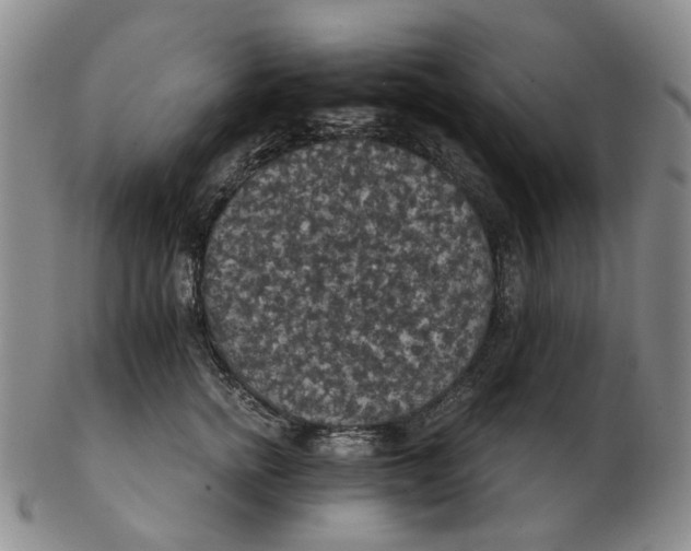 X0000102770758200809081004