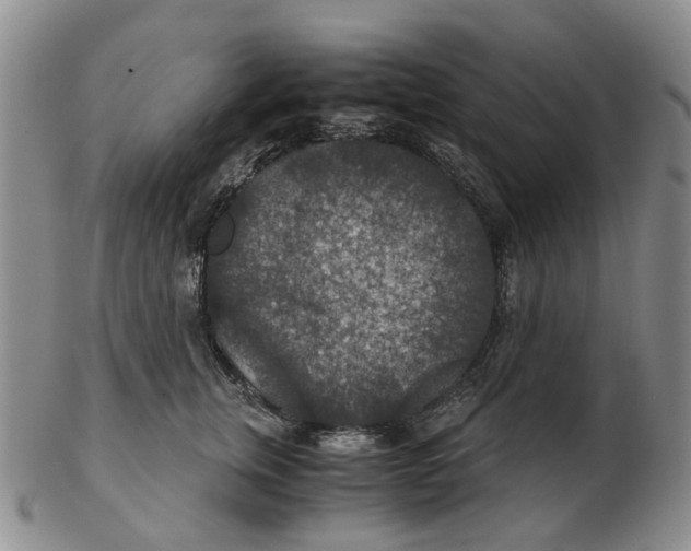 X0000102770759200809081004