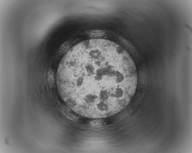 X0000102770761200809081004