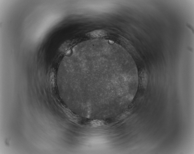 X0000102770762200809081004