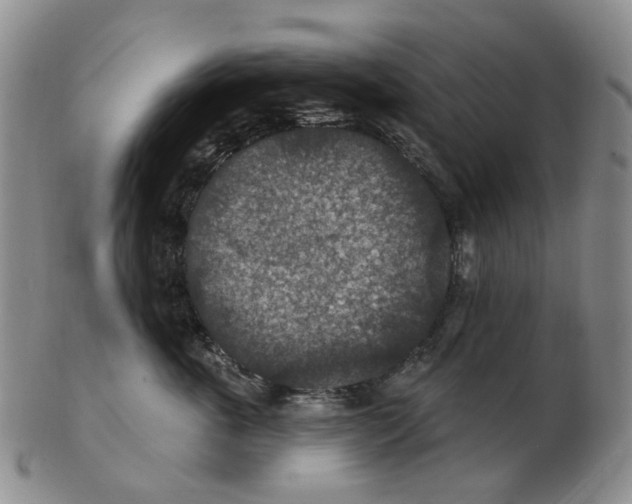 X0000102770763200809081004