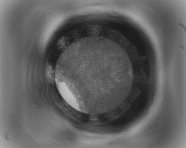 X0000102770766200809081004