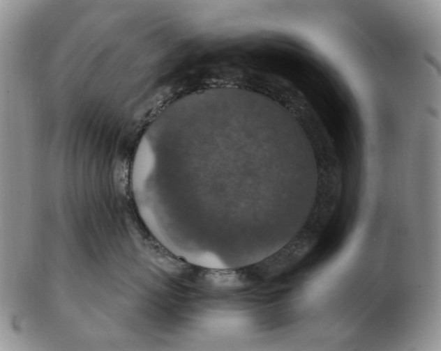 X0000102770767200809081004