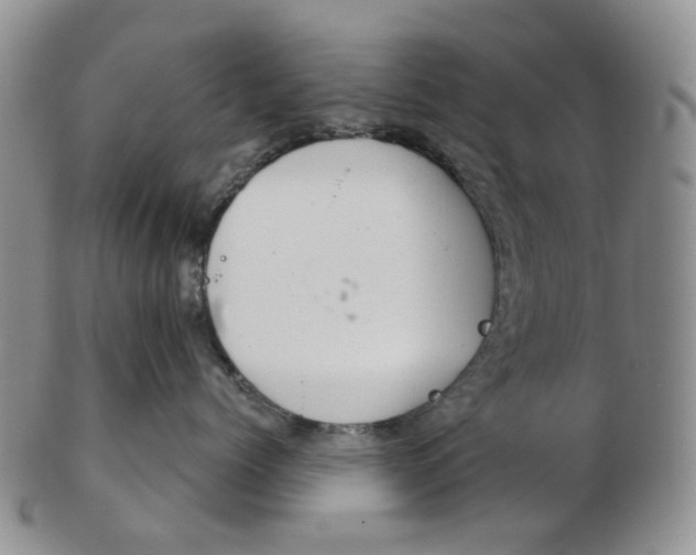 X0000102770768200809081004