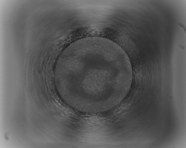 X0000102770769200809081004