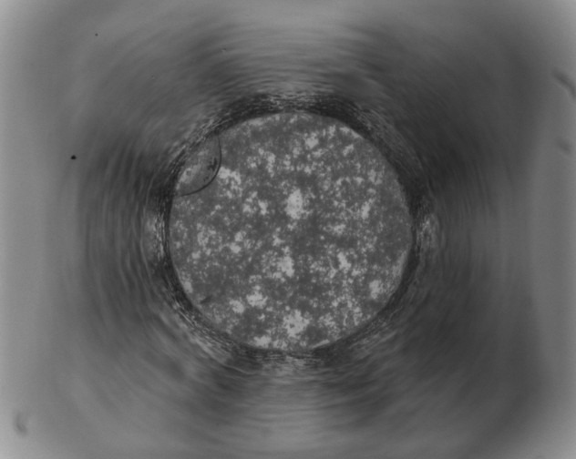 X0000102770772200809081004