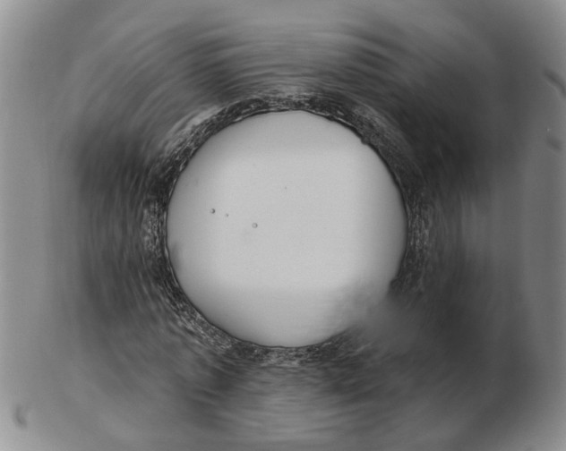 X0000102770773200809081004